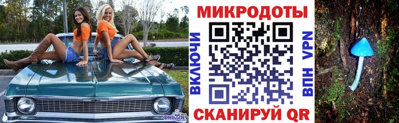 Купить закладки  Строитель  Галлюциногенные грибы мухоморы 