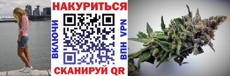 Конопля Amnesia  Купить где  Строитель 